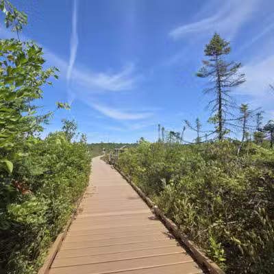 Parking for Bangor City Forest and Orono Bog Walk - Bangor, ME