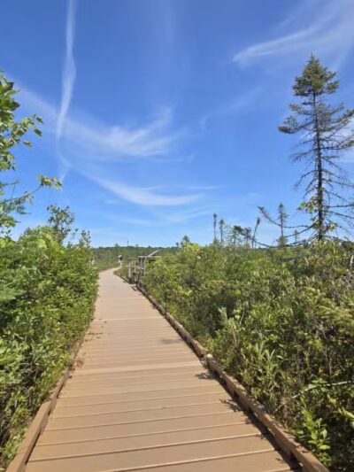 Parking for Bangor City Forest and Orono Bog Walk - Bangor, ME