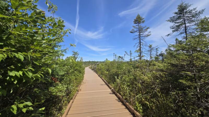 Parking for Bangor City Forest and Orono Bog Walk - Bangor, ME