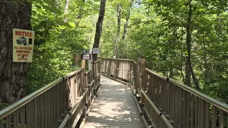 Parking for Bangor City Forest and Orono Bog Walk - Bangor, ME