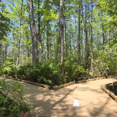 Parking for Bangor City Forest and Orono Bog Walk - Bangor, ME