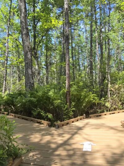 Parking for Bangor City Forest and Orono Bog Walk - Bangor, ME
