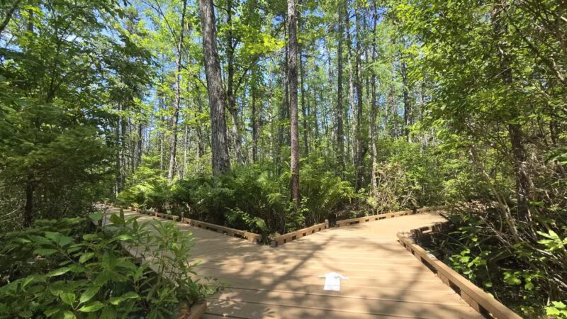 Parking for Bangor City Forest and Orono Bog Walk - Bangor, ME
