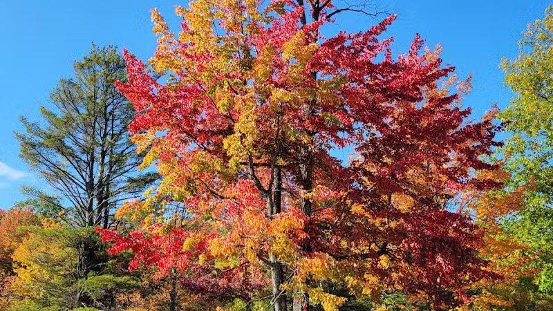 Baraga State Park - Baraga,