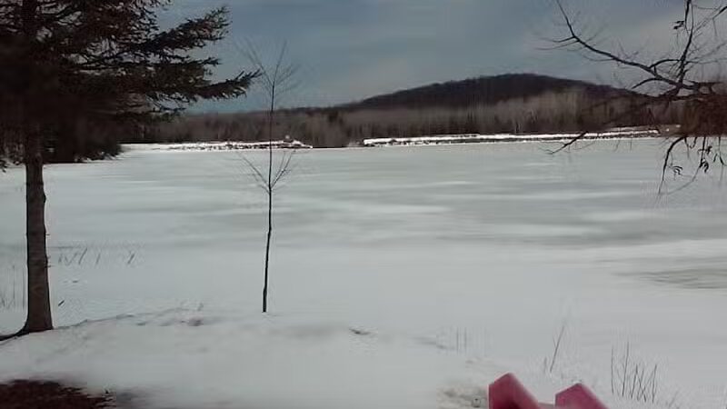 Hardwood impoundment - Bark River,