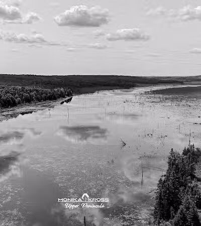 Hardwood impoundment - Bark River,