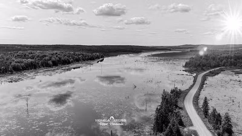 Hardwood impoundment - Bark River,