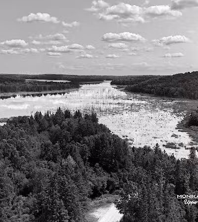 Hardwood impoundment - Bark River,