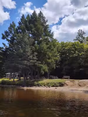 Hardwood impoundment - Bark River,
