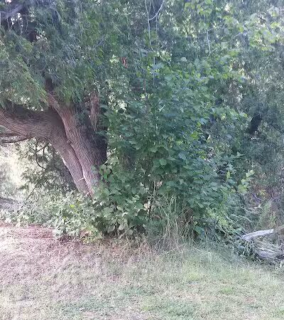 O B Fuller County Park - Bark River,