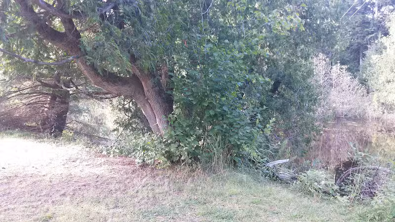 O B Fuller County Park - Bark River,