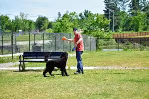 Chaffee Crossing Dog Park - Barling, AR