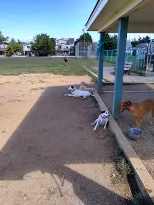Barnegat Light Dog Park - Barnegat Light, NJ