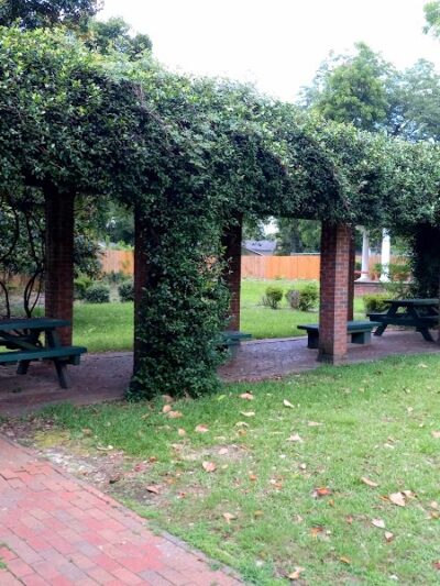 Collins Park - Barnwell, SC