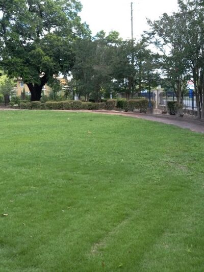 Collins Park - Barnwell, SC