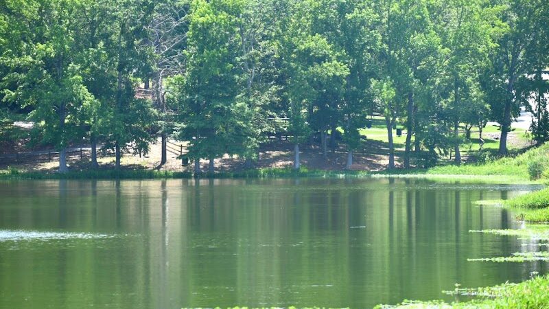 Kilkenny Park - Barnwell, SC