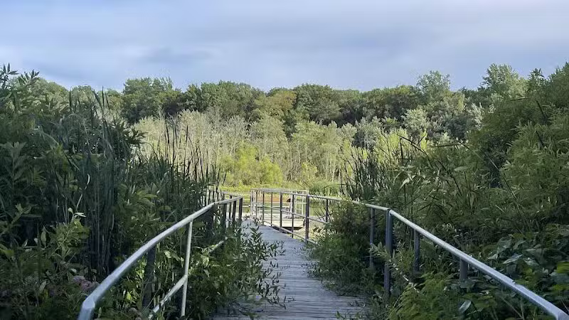 Baroda Township Park - Baroda,