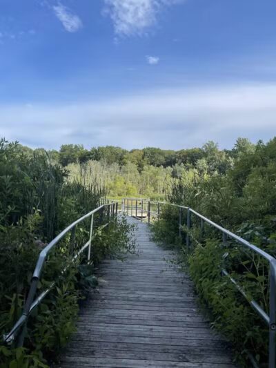 Baroda Township Park - Baroda,