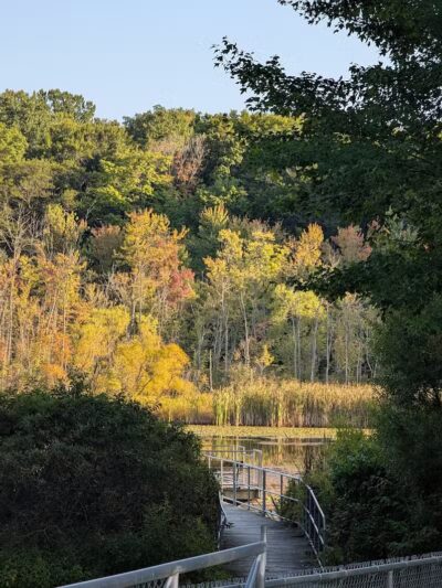 Baroda Township Park - Baroda,