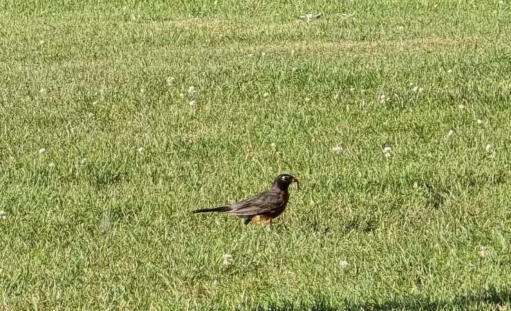 Baroda Village Park - Baroda,