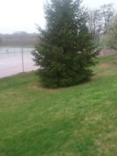 Baroda Village Park - Baroda,