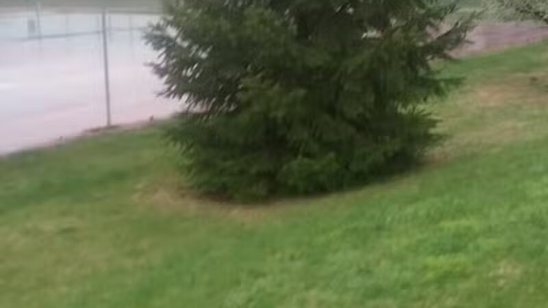 Baroda Village Park - Baroda,