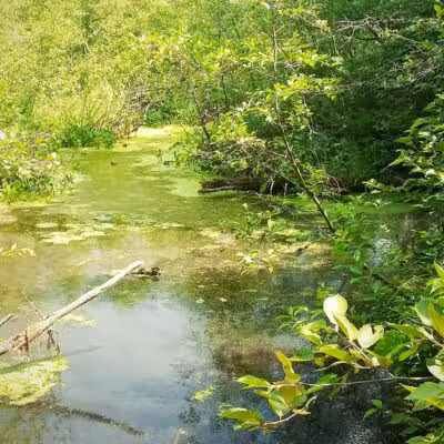 Merrill–Gorrel County Park - Barryton, MI