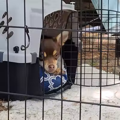 Merrill–Gorrel County Park - Barryton, MI