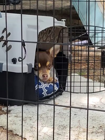 Merrill–Gorrel County Park - Barryton, MI