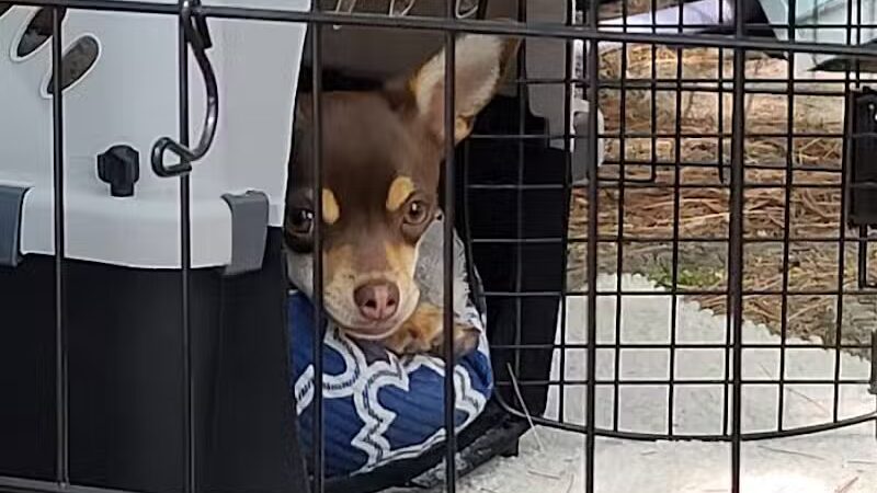 Merrill–Gorrel County Park - Barryton, MI