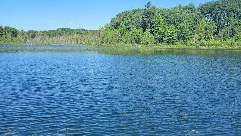 Merrill–Gorrel County Park - Barryton, MI