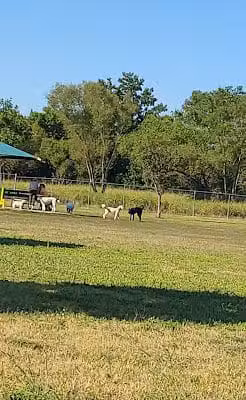 Cooper Dog Park - Bartlesville, OK