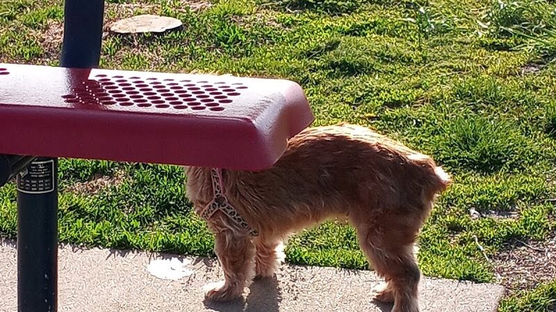 Cooper Dog Park - Bartlesville, OK