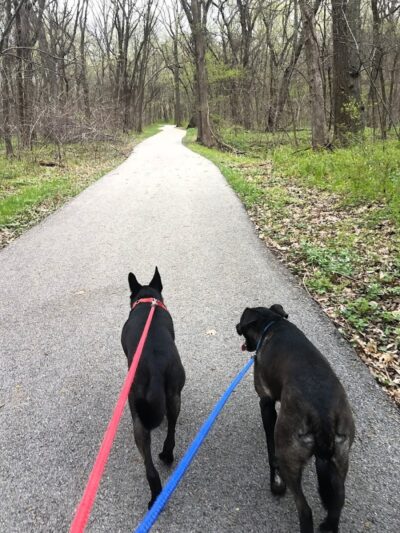 Cooper Dog Park - Bartlesville, OK