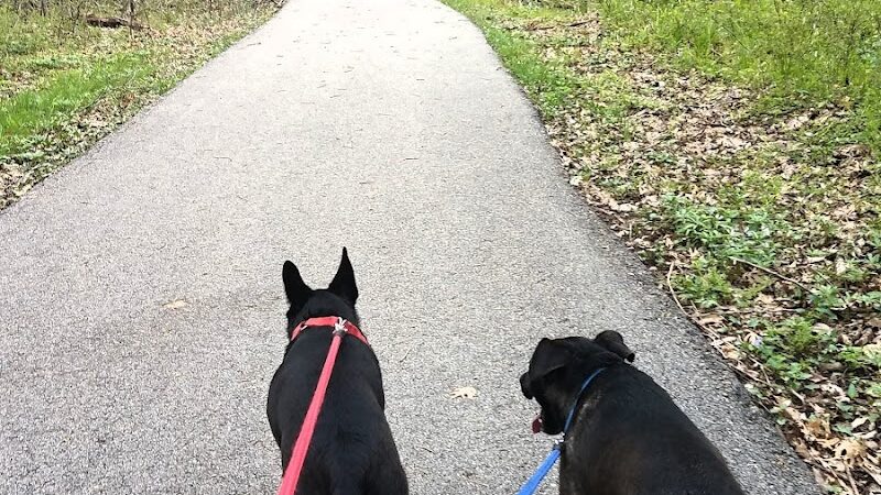 Cooper Dog Park - Bartlesville, OK