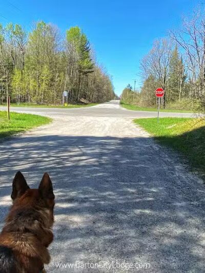 Reid Lake Foot Travel Area Trailhead - Barton City,