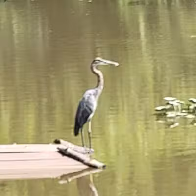 Lord Stirling Park - Basking Ridge, NJ