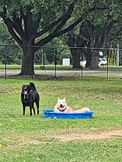 Bastrop Bark Park - Bastrop, TX