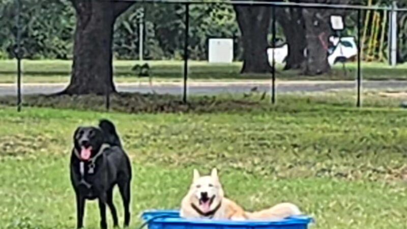 Bastrop Bark Park - Bastrop, TX