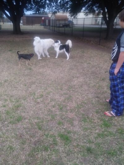 Bastrop Bark Park - Bastrop, TX