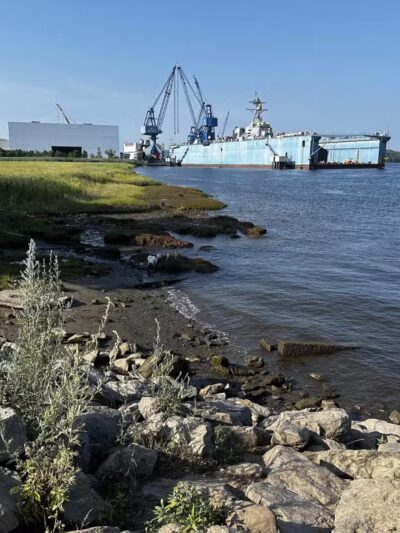 South End Dog Park - Bath, ME