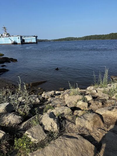 South End Dog Park - Bath, ME