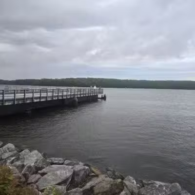 South End Dog Park - Bath, ME