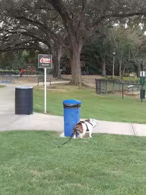 Raising Cane's Dog Park - Baton Rouge, LA