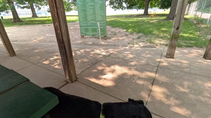 Bailey Park - Battle Creek, MI