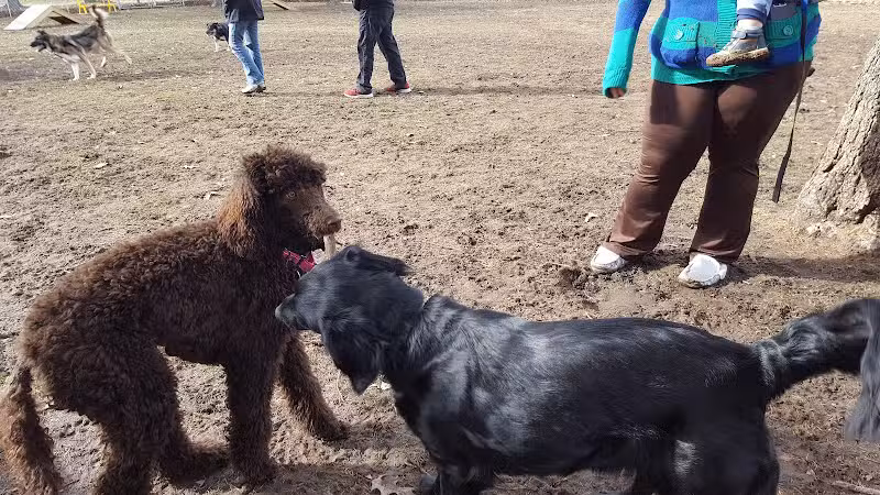 Home Run Dog Park - Battle Creek,