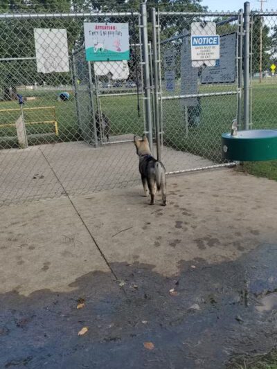 Home Run Dog Park - Battle Creek,