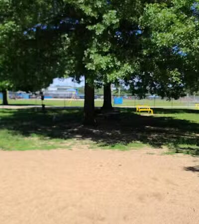 Home Run Dog Park - Battle Creek,