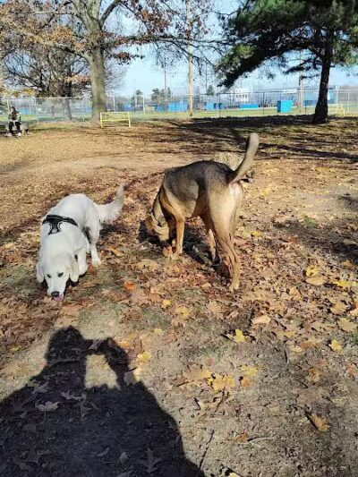 Home Run Dog Park - Battle Creek,