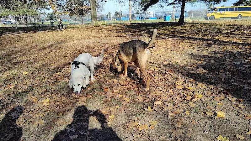 Home Run Dog Park - Battle Creek,